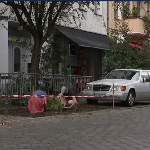 Two residents start planting on former car spot