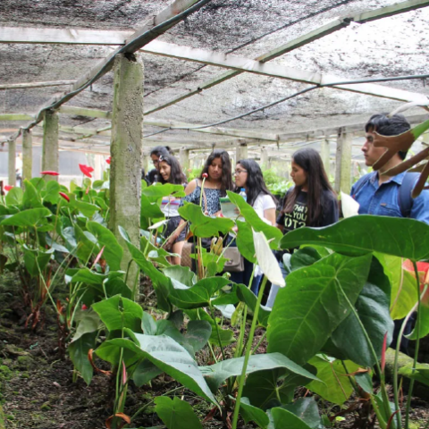 Place where the implementation of the National Botanical Garden of Lima began.