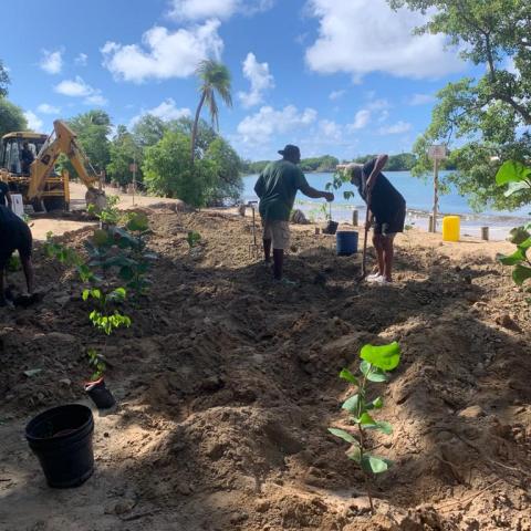 Image of volunteers intervening