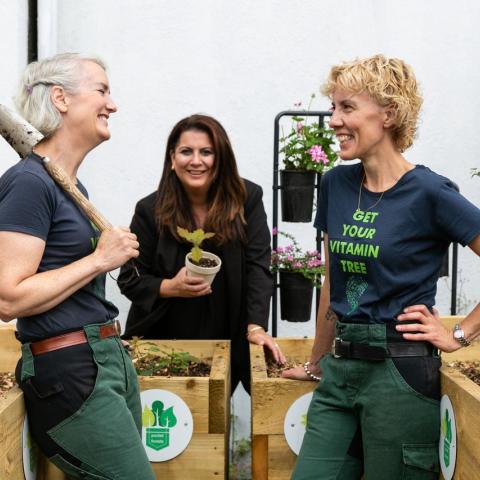 The Digital Hub hosts urban tree nursery