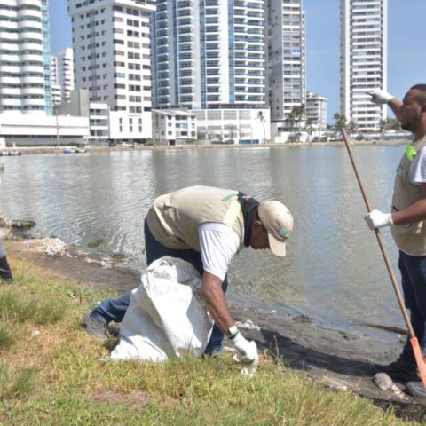 cleaning activities by the EPA Cartagena