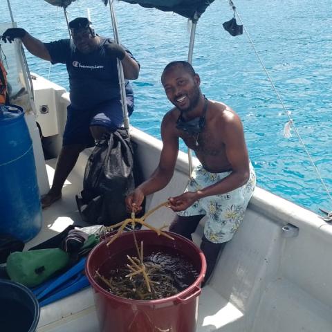 picture of restoration activities