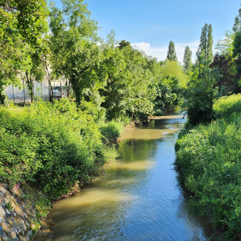 Parc de l'Huveaune - Project to revitalize the river and its biodiversity