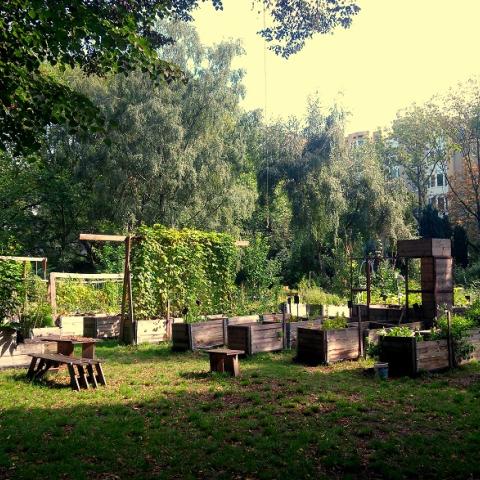 Surrounded by graves: the community garden in Neukölln