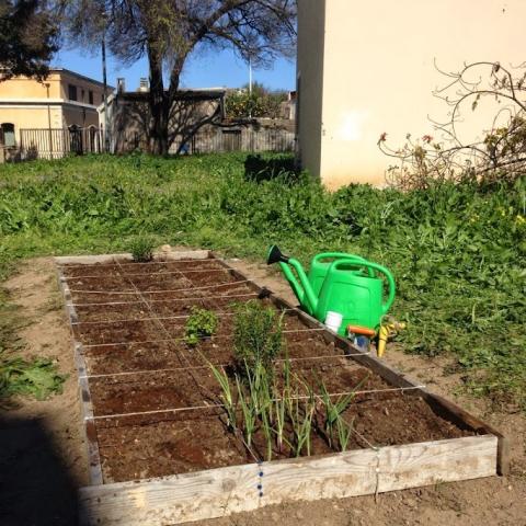 garden space for the workshop