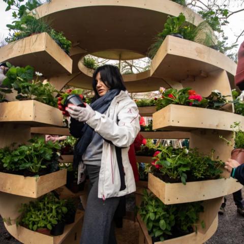 Spherical community garden in Gdansk