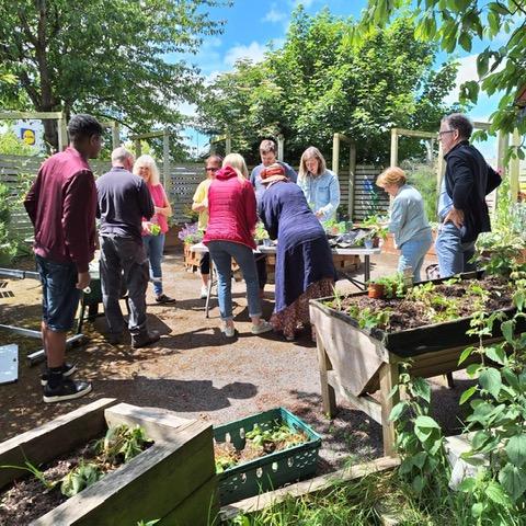 The City Farm Ballymun
