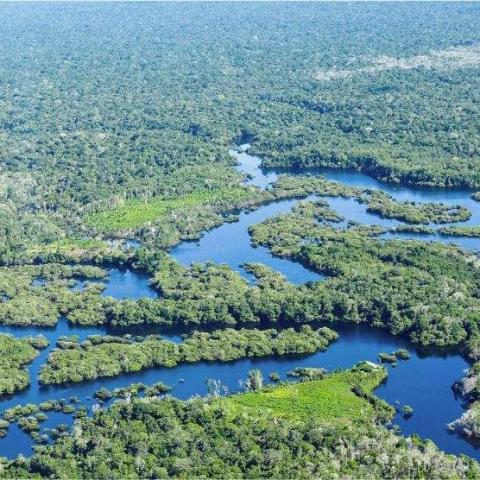 View of the river in the National Park Mapinguari