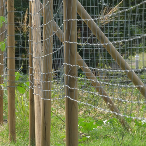 Fenced area for sea turtle nesting