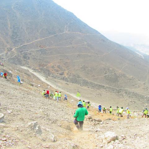 Group of people planting tara in Lomas Primavera
