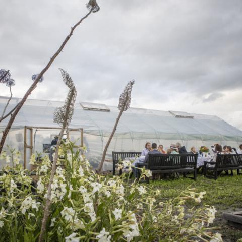 A group of people sitting by a long table outside of the greenhouse at the farm.