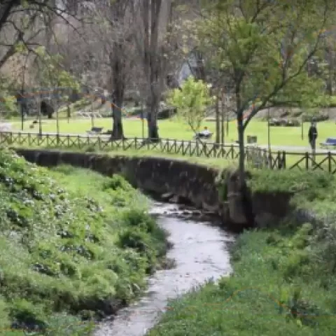 The image shows the river. 