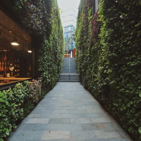 View of a corridor surrounded by green walls in the Royal Tower 2