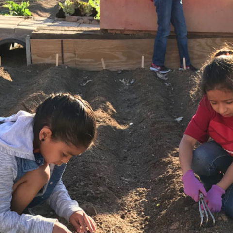 Two children digging in the dirt at the Native Health Traditional Garden