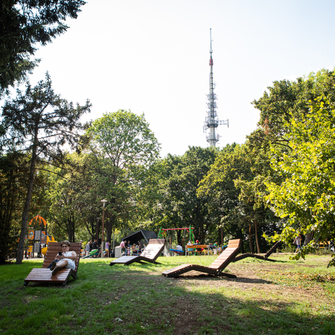 Sunbathing Terrace on Horvath-hill
