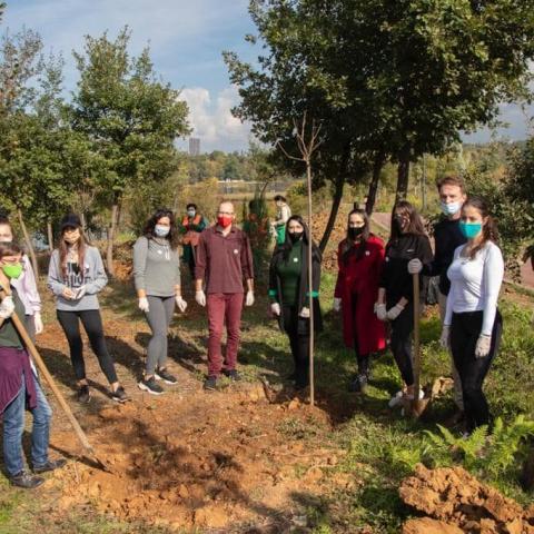 Tree Planting action at Great Lake Park in 2020