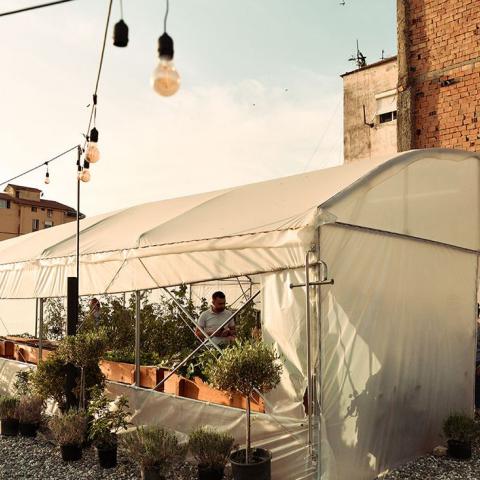 Greenhouse from the outside