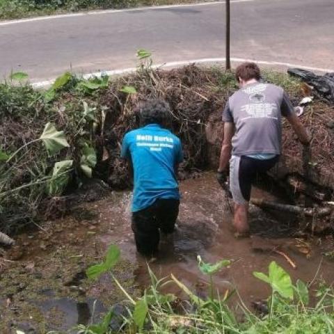 Volunteers removing invasive species in one of the areas of the wetland