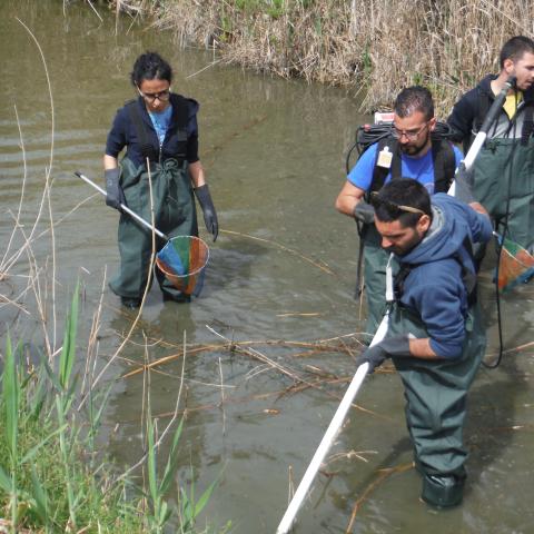 Protection of fossil beach2.