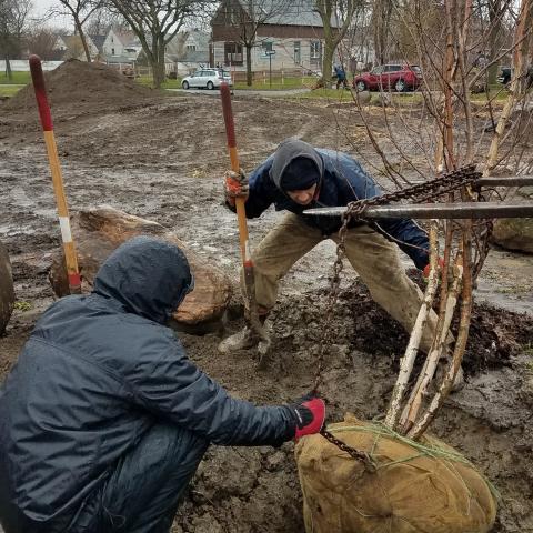 An overview of two people planting a new tree for Treetroit. 