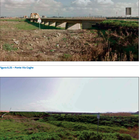 vegetation-takes-over