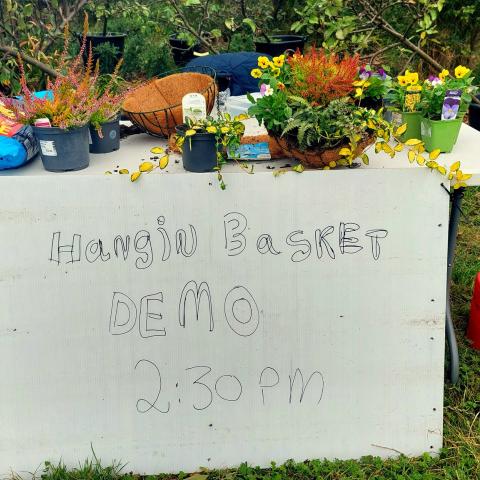 The City Farm Ballymun 