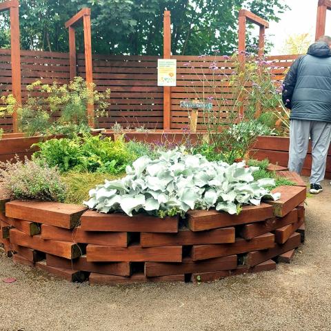 The City Farm Ballymun 