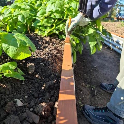 The City Farm Ballymun 