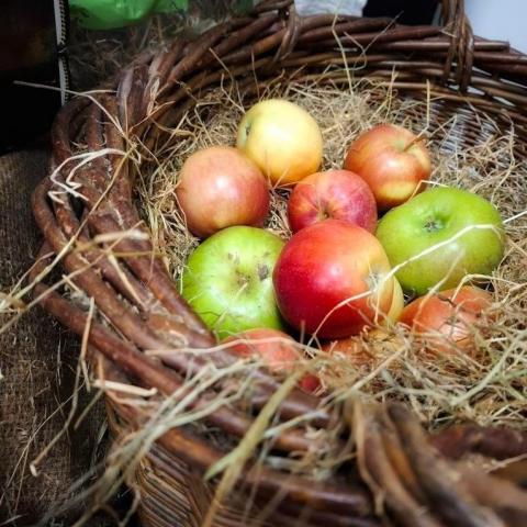 The City Farm Ballymun 