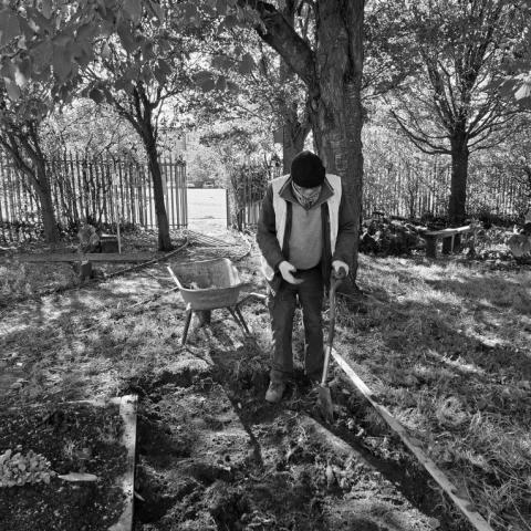 The City Farm Ballymun 