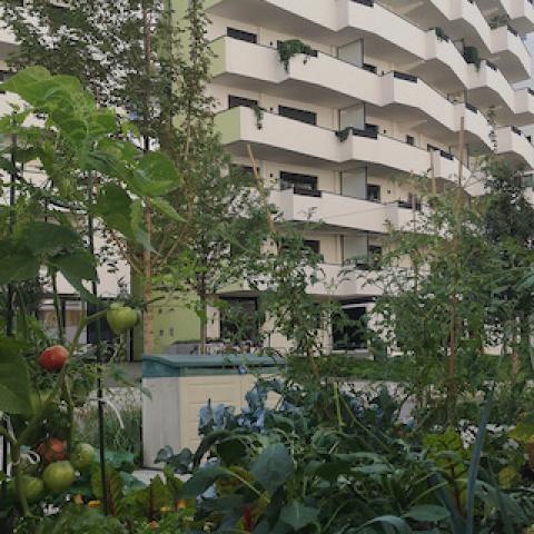 Biotope City Wienerberg