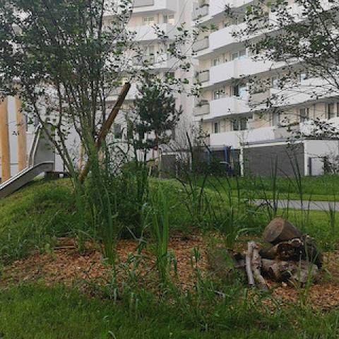 Biotope City Wienerberg