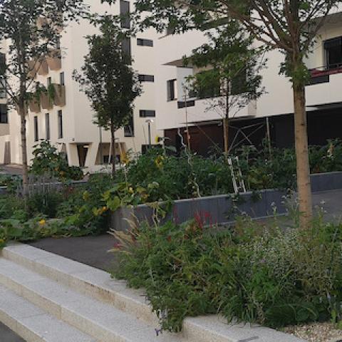 Biotope City Wienerberg