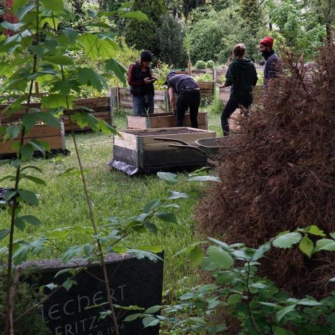 Urban Gardening in Cemeteries