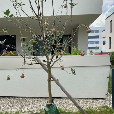 Biotope City Wienerberg