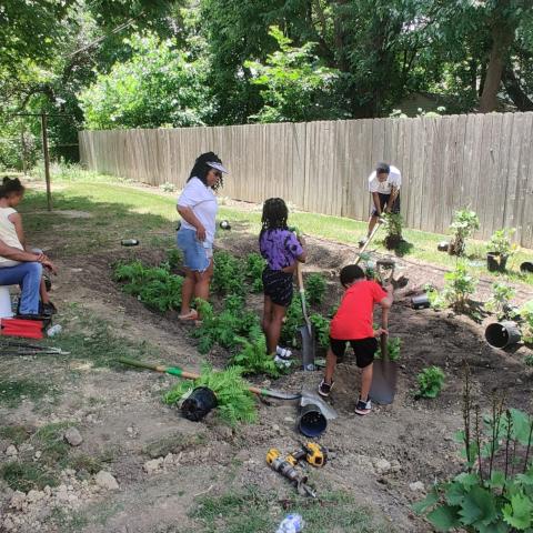 Rain Gardens