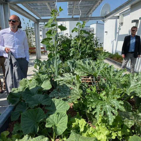 Biotope City Wienerberg