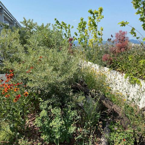 Biotope City Wienerberg