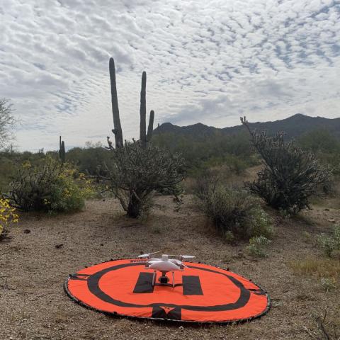 The Lower Salt River Restoration Project