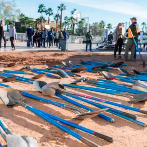 Trees planted at Emerson Elementary