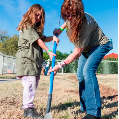 Trees planted at Emerson Elementary