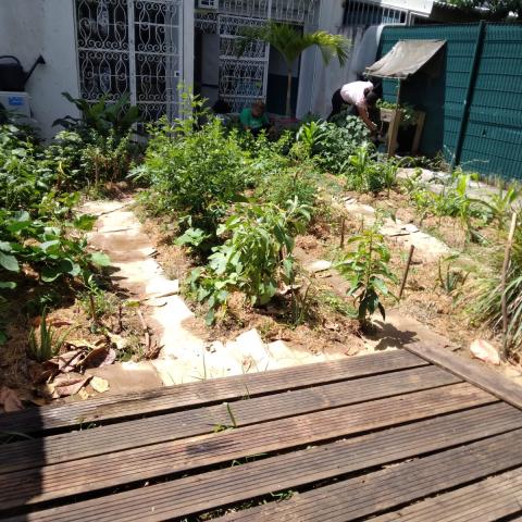  Unlocking Skills through Healing Gardens