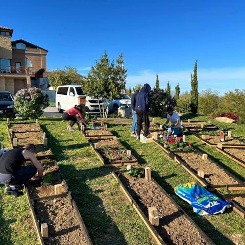  Unlocking Skills through Healing Gardens