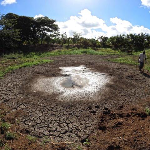 Restoration and Maintenance of the Ponds of the Antilles