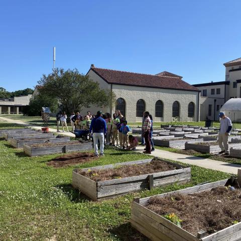 Murphy Farm to Table