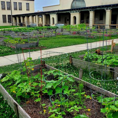 Murphy Farm to Table