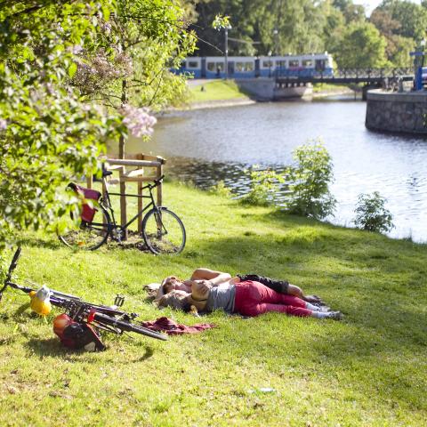 Green and Grand City (2014)