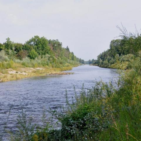 Phase 1 of the Project (2012)