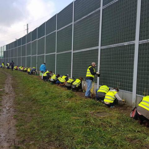 Green Acoustic Screens by Grota-Roweckiego Street