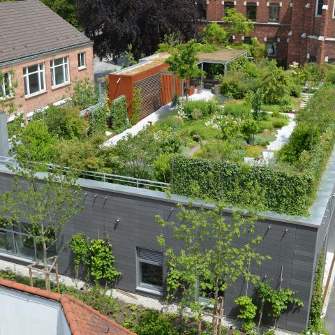Green Roof of the Diakonissen Klinik Augsburg